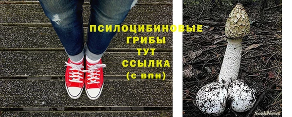 экстази Переславль-Залесский